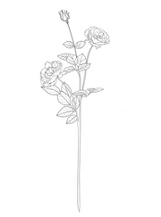 Flowers €175